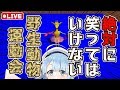 🔴【Wild Animal Sports Day】絶対に笑ってはいけない！？野生動物運動会【実況】