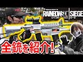 【サバゲー】R6Sのカスタム銃!!『サバゲー実況者の全銃(エアガン)紹介!!』【オキサバ:Rio,アッキー:実況者ジャンヌ】