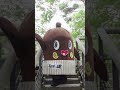 【TikTok】09 ひたち海浜公園 ランウェイ ねばーる