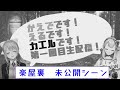 【🐸未公開映像】生配信直前雑談【井戸端会議】