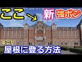 【荒野行動】誰も知らない⁉東京駅の屋根の登り方を発見！通常では行けない屋根に登れる！都心駅の立ち回り・小技集！(バーチャルYouTuber)