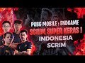 SCRIM INDONESIA SUPER KERAS WAJIB NONTON!!! RRQ RYUU GAMEPLAY