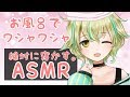 【ASMR】山葵さんが風呂で世話する。【シャンプー、パウダーマッサージ、耳かき】【Binaural/Shampoo/Massage/Ear Cleaning】