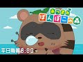 あつまれ どうぶつの森】狸、無人島で暮らします。6日目【平日毎朝8:00～】