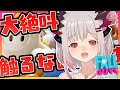 【切り抜き】大絶叫！！うああああああああ！！！なんでだよ！！お前もゴールするんだよおおおおぉおおおおお！？【Fall Guys】【周防パトラ / ハニスト】