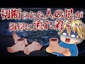 【都市伝説】※グロ注意！大量の人間の足が海岸に漂着…！セイリッシュ島で起こった怪奇事件…！【笑える授業】【ゆっくり茶番】【137時間目】