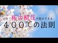 【お天気雑学】自分で桜の開花予想ができる「400℃の法則」