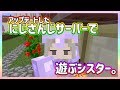 【マイクラ】新しくなった、にじ鯖探検🐼🍞【シスタークレア】