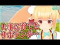 【教えて！アリス先生】はじめてのガーデ...ガーデニング講座！！