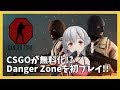 【CS:GO】新バトロワモード「Danger Zone」を初見プレイ！【アイドル部】