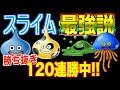 【テリーのワンダーランドSP】スライム最強伝説 勝ち抜きバトル200連勝目指す！【テリワンSP】