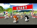 Cute Puppy Dog Racing Sim 2017 (by KidRoider) Android Gameplay [HD]