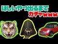 ※破産【荒野行動】ほしいやつ出るまでガチャしたら●●●連かかった→爆死（暁の旅人・オオカミの鋭牙・タイガー）_KNIVES_OUT