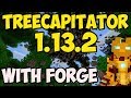 TREECAPITATOR MOD 1.13.2 minecraft - how to download & install Treecapitator 1.13.2 [with forge]