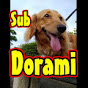 dorami24/ドラミ SubCh