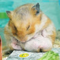 Pooh hamster English ver