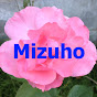 Mizuho Style