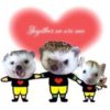 3littlebrothers__hedgehog