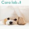 cara.lab