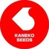 kanekoseeds_co.ltd