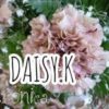 daisy.k.88