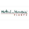 naturalharmonicplants