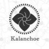 kalanchoe_0800