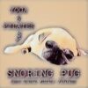 snoringpug_yoga.pilates