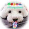 allergourmet_restaurant